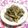 シャンプーハット's cooksnap of when they made 大根の胡麻和え.