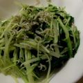 highzi's cooksnap of when they made 水菜としらすの簡単サラダ.