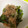 tinico's cooksnap of when they made つるむらさきの美味しい食べ方.