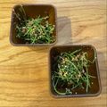 まめはっぱ's cooksnap of when they made シャキシャキプチプチ！豆苗のタラコ炒め.