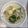 クックN1PP21☆'s cooksnap of when they made 鶏肉と蕪と里芋のクリーム煮.