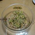 ラリー＆サラ's cooksnap of when they made 中華　春雨サラダ.