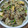 ばりにゃんこ's cooksnap of when they made とろとろ肉みそ卵のもやし炒め定食🍚.