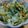まめたん's cooksnap of when they made 塩麹で野菜の浅漬け.