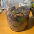 sorasoraの庭's cooksnap of when they made 【黒糖＆はちみつの効果は？】梅シロップ.