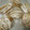 あーもこ's cooksnap of when they made しいたけ　保存法.