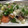 chikomon's cooksnap of when they made 簡単！ 鮭のネギ塩焼き.
