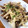 じゅん♪'s cooksnap of when they made しめじバター卵とじ☆.