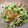 おやきまま's cooksnap of when they made 捨てないで♫鶏皮と胡瓜の中華風和え物.