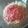 sarinaaan's cooksnap of when they made さっぱり！すりおろしトマトのつゆで素麺♪.
