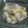 yukoahi's cooksnap of when they made 清炒津白★白菜の中華炒め煮.