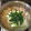 ラピュタ姫's cooksnap of when they made 白だしで簡単♪白だし屋さんのもつ鍋★.