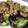 sanama0826's cooksnap of when they made 茄子とオクラのそぼろあん炒め.