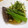 Chisa−Rin's cooksnap of when they made なすとオクラのお浸し☆山形「だし」風.