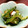 ろみこっこ's cooksnap of when they made めんつゆで♥ ゴーヤとクリチの和風サラダ.