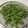 laputa3977's cooksnap of when they made 枝豆　おいしい茹で方.