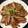 あんずとマツ's cooksnap of when they made ➏　さっぱり☆～蒸しナス　➏.