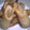 twin-twin's cooksnap of when they made ごほう天みたいなちくわ炒め.