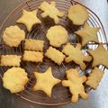 真観子さん's cooksnap of when they made 息子のための米粉クッキー.
