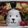 hirotofumi's cooksnap of when they made にゃんまげ　　キャラ弁.