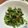 ぽんずー's cooksnap of when they made ☆おかのりの鰹醤油和え☆.