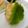 わたるんママ's cooksnap of when they made 漬けとくだけ♪にんにく醤油☆.