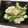 hirahirann's cooksnap of when they made ゴーヤのおかかマヨ和え.