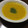 こうへい1206's cooksnap of when they made ＊うちのかぼちゃスープ＊.