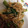 まゆぽん１号's cooksnap of when they made ピーマンとエノキのオイスター炒め.