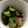 mantacarp's cooksnap of when they made きゅうりとじゃこ天の酢物.