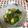 yauikri's cooksnap of when they made 茄子と胡瓜の梅しそ和え.