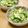 honeymit's cooksnap of when they made ダシダで☆簡単きゅうりチャンプルー.