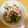 さすけのまあこ's cooksnap of when they made さっぱりきゅうり梅.