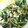ふうもんち's cooksnap of when they made 和えるだけ♫ツナとほうれん草のお浸し.