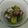 maryuri's cooksnap of when they made 簡単♪タコとキュウリの酢の物.