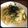 ☆こぐまちゃん☆'s cooksnap of when they made お手軽☆アボカド納豆さっぱりパスタ.