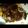 ねおみ's cooksnap of when they made 簡単　あらびきハンバーグ（豚こま切れで）.
