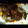 ねおみ's cooksnap of when they made 簡単　あらびきハンバーグ（豚こま切れで）.