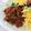 soyon2's cooksnap of when they made 茄子で♪ジャージャーそうめん.