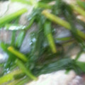 アトムガール's cooksnap of when they made もっとお魚を食べよう★簡単 鯵のネギ焼き.