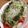 ちびた777's cooksnap of when they made トマトと玉ねぎのイタリアンサラダ♪.