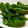 ＊ココナッツ＊'s cooksnap of when they made ししとうのさっと炒め.