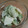 ミルキーアン's cooksnap of when they made 〇りんごとレタスのマヨネーズサラダ〇.