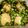 subaru2007's cooksnap of when they made ニラだれで簡単！ピリ辛味たまご.