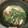 くみちょう１２'s cooksnap of when they made シメジとほうれん草のスープ.