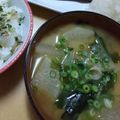 2児ママみきてぃ's cooksnap of when they made ☆わかめと大根の味噌汁☆.