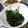 ともこ629's cooksnap of when they made ほうれん草と海苔のナムル.