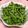 ゆかタートル's cooksnap of when they made 豆の風味抜群！！･･･な枝豆のゆで方。.