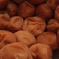 ハチきち's cooksnap of when they made 蜂蜜梅干.