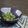 橋坂卓's cooksnap of when they made 隠し味にお酢☆ オクラの胡麻あえ.